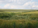 Widok na Górę Kumowską