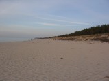 Plaża w Karwii
