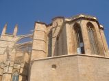 Palma, Katedra La Seu