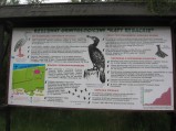 Tablica informacyjna, Rezerwat Ornitologiczny w Kątach Rybackich