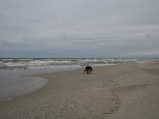 Bałtyk i plaża w Kątach Rybackich