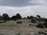 Vidova Góra, skały