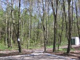Las, parking przy drodze nr 17