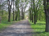 Park przy Pałac rodziny Rzewuskich
