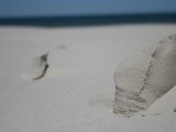 Plaża w Lubiatowie, słupki z piasku