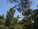 Wieża obserwacyjna widziana z deptaku w Jastarni