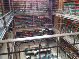 Biblioteka Naukowa w Rijksmuseum, Amsterdam