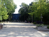 Scena, Plac Narutowicza, Bełchatów