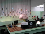 Sala wystaw z mózgiem w muzeum w Deźnie