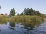 Jezior Rotcze, Grabniak