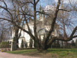 Kościół parafialny p.w. św. Wita w Karczewie