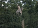 Pomnik Kościuszki w Końskich