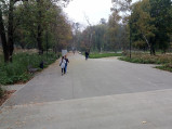 Chodnik w Parku Krakowskim w Krakowie