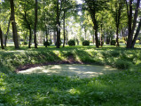Staw w parku, Krubki-Górki