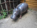 Hipopotam, Farma Iluzji, Mościska