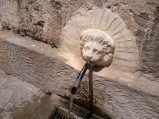 Głowa w ujęciu wody w Pili