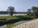 Widok na rzekę Wisłę, Piotrawin