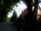 Droga przy kościele w Pliszczynie