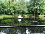 Domek dla kaczek w parku w Wejcherowie